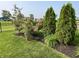 Beautiful backyard landscaping with flower bushes, privacy trees, and green grass at 3691 Talmine Ln, Bargersville, IN 46106