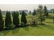 Well-manicured backyard with lush green grass and decorative privacy trees at 3691 Talmine Ln, Bargersville, IN 46106