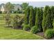 Landscaped backyard with green grass, privacy trees, and flowering bushes at 3691 Talmine Ln, Bargersville, IN 46106