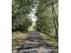 Tree-lined walking or biking path with a paved surface and falling leaves, surrounded by foliage at 5725 W 200 N, Lebanon, IN 46052