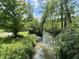 Peaceful creek surrounded by lush greenery and trees in a natural setting at 6091 Mt Moriah Rd, Nineveh, IN 46164
