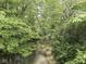 Scenic creek view surrounded by lush green trees at 6091 Mt Moriah Rd, Nineveh, IN 46164