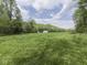 Wide shot of a green field with a metal garage and home, showcasing the property's vast and natural surroundings at 6091 Mt Moriah Rd, Nineveh, IN 46164