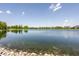 Peaceful lake view showcasing clear waters surrounded by lush greenery and upscale homes at 1799 Hourglass Dr, Carmel, IN 46032