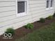 Meticulously landscaped yard featuring lush bushes, fresh mulch and verdant grass at 201 W Essex St, Lebanon, IN 46052
