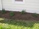 Landscaping features well-mulched garden bed with young plantings at 201 W Essex St, Lebanon, IN 46052