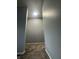 Hallway area showcasing gray painted walls and carpeted floor at 3055 Pawnee Dr, Indianapolis, IN 46235