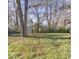 Large, grassy backyard bordered by mature trees offering ample space for outdoor activities at 3342 Foltz St, Indianapolis, IN 46221