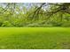 Spacious green backyard with mature trees providing shade and privacy at 502 S Harrison St, Alexandria, IN 46001