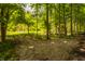 Secluded backyard showing scattered trees and low ground cover plants with rustic yard chairs at 535 W 93Rd St, Indianapolis, IN 46260