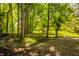 Backyard featuring gravel landscaping and scattered trees leading to a lawn, wood pile and utility shed at 535 W 93Rd St, Indianapolis, IN 46260