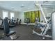 Community gym featuring modern equipment and a wall mural at 6031 Madera Dr, Whitestown, IN 46075