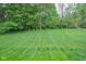 Expansive backyard with lush green lawn and mature trees offering privacy and space for outdoor activities at 7322 Stones River Dr, Indianapolis, IN 46259
