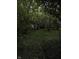 Lush backyard with dense foliage and mature trees and no view of the home at 1168 N Gladstone Ave, Indianapolis, IN 46201