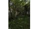 View of the overgrown backyard and sparse view of the home at 1168 N Gladstone Ave, Indianapolis, IN 46201