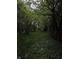 Lush backyard with dense foliage and partial view of neighboring houses at 1168 N Gladstone Ave, Indianapolis, IN 46201