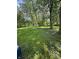 Spacious backyard with mature trees and lush green grass at 1801 E 16Th St, Muncie, IN 47302