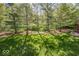 View of backyard with green lawn and mature trees providing shade, offering a peaceful outdoor setting at 21218 Carlton Ct, Noblesville, IN 46062