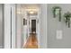 Hallway with hardwood floors, built-in storage, and modern hanging planters at 3904 Haverhill Dr, Indianapolis, IN 46240