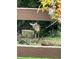 Captivating view of a deer framed by a wooden fence and vibrant floral arrangement at 4419 Liberty Loop Rd, Martinsville, IN 46151