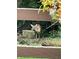 Delightful glimpse of a deer, framed by a wooden fence and a cheerful floral arrangement at 4419 Liberty Loop Rd, Martinsville, IN 46151