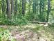 View of the wooded property with mature trees at 4419 Liberty Loop Rd, Martinsville, IN 46151