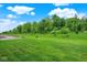 Expansive green backyard with newly planted trees, offering a serene and private outdoor space at 19584 Atwater Ave, Sheridan, IN 46069
