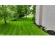 Well-maintained backyard with lush green lawn and manicured landscaping, offering privacy and space at 3251 Amber Way, Bargersville, IN 46106