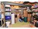 Organized basement storage featuring shelving, boxes, and bins on a green carpet at 3251 Amber Way, Bargersville, IN 46106