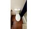 Bathroom features a standard white toilet atop wood-look laminate flooring at 3702 Candy Cane Dr, Indianapolis, IN 46227