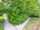 A walkway splits into two paths, surrounded by lush greenery, bushes, and a mature shade tree at 4268 Foxglove Trce, Indianapolis, IN 46237
