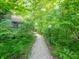 A lush tree-lined walkway with mature trees leads to a charming home with a wooden deck at 4268 Foxglove Trce, Indianapolis, IN 46237