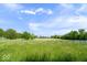 Expansive field with tall green grass, surrounded by trees and a white fence under a blue sky at 5480 E County Rd 800 N, Brownsburg, IN 46112