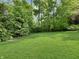 Lush green backyard with mature trees, offering privacy and space for outdoor activities at 6693 W May Apple Dr, McCordsville, IN 46055