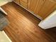 Bathroom featuring wood-look vinyl flooring and vanity at 7970 Cobblesprings Dr, Avon, IN 46123