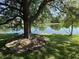 Scenic lake view framed by mature trees, creating a tranquil and inviting atmosphere at 7970 Cobblesprings Dr, Avon, IN 46123