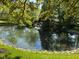 A tranquil pond with lush greenery and decorative rocks along the edge at 7970 Cobblesprings Dr, Avon, IN 46123