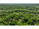 Scenic aerial view of homes nestled among a dense forest, showcasing the neighborhood's lush greenery and peaceful atmosphere at 8209 Beech Knoll, Indianapolis, IN 46256