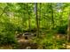 Scenic outdoor fire pit area surrounded by trees, offering a tranquil space for gatherings and enjoying nature at 8209 Beech Knoll, Indianapolis, IN 46256