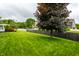 Well-maintained backyard featuring lush green lawn, mature trees, and a privacy fence at 11674 Timken Ct, Fishers, IN 46037