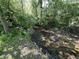 A serene creek flowing through a wooded area offering a peaceful natural setting at 12301 Winding Creek Cir, Indianapolis, IN 46236