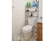 Bathroom featuring a toilet, shelving and vanity that provides ample space for storage at 1363 Briar Meadow Ct, Indianapolis, IN 46217