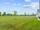 Expansive green backyard features a well-maintained lawn and young trees with views of neighborhood features at 19657 Astoria Ave, Sheridan, IN 46069