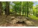 Secluded backyard fire pit surrounded by mature trees and nature, creating a tranquil outdoor retreat at 7624 William Penn Pl, Indianapolis, IN 46256