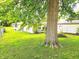 A backyard with lush green grass and a large, mature tree shading a charming single-story home at 8357 Harrison Dr, Lawrence, IN 46226