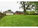 Expansive green backyard with a mature tree and wooden fence, offering privacy and space at 924 S B St, Elwood, IN 46036