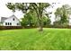 Expansive green backyard with a mature tree and wooden fence, offering privacy and space at 924 S B St, Elwood, IN 46036