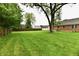 Expansive green backyard with a mature tree and wooden fence, offering privacy and space at 924 S B St, Elwood, IN 46036