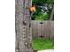 Unique backyard decor, including a decorated tree with flowers and miniature ladder at 1114 N Olney St, Indianapolis, IN 46201