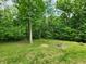 Mature trees surround the property, creating a private backyard setting at 6538 N Tutterow Rd, Monrovia, IN 46157